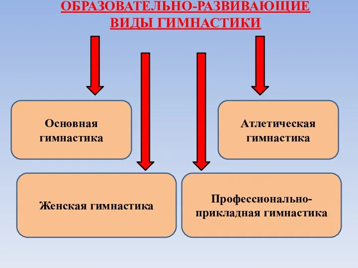 ОБРАЗОВАТЕЛЬНО-РАЗВИВАЮЩИЕ ВИДЫ ГИМНАСТИКИ Основная гимнастика Профессионально-прикладная гимнастика Атлетическая гимнастика Женская гимнастика