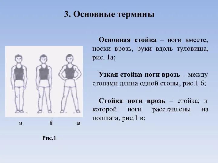 3. Основные термины Основная стойка – ноги вместе, носки врозь,