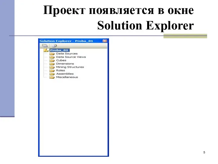 Проект появляется в окне Solution Explorer