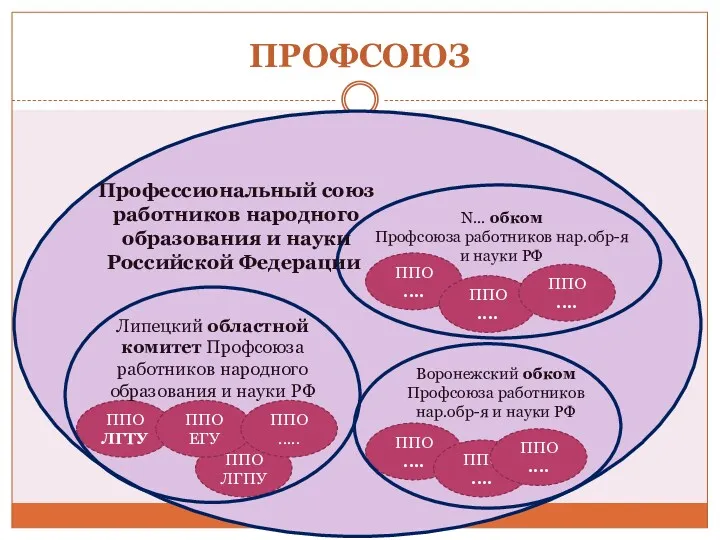 ПРОФСОЮЗ ППО ЛГТУ ППО ЛГПУ ППО ЕГУ ППО ..... Липецкий областной комитет Профсоюза