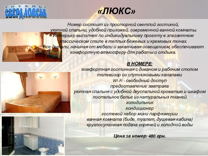 «ЛЮКС» В НОМЕРЕ: комфортная гостинная с диваном и рабочим столом телевизор со спутниковыми