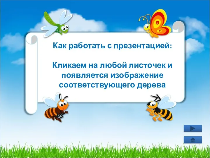 Как работать с презентацией: Кликаем на любой листочек и появляется изображение соответствующего дерева