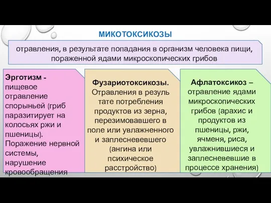 МИКОТОКСИКОЗЫ отравления, в результате по­падания в организм человека пищи, пораженной