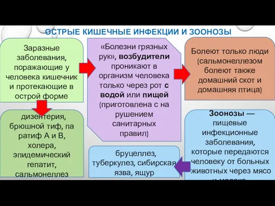 ОСТРЫЕ КИШЕЧНЫЕ ИНФЕКЦИИ И ЗООНОЗЫ Заразные заболевания, поражающие у человека