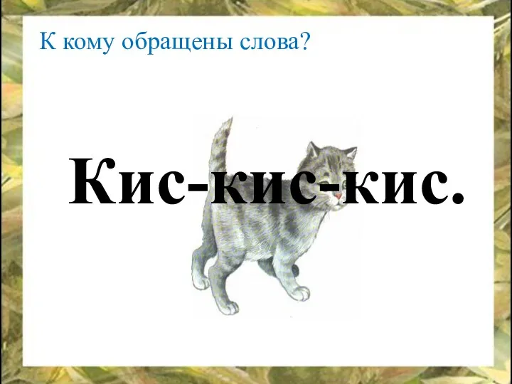 К кому обращены слова? Кис-кис-кис.