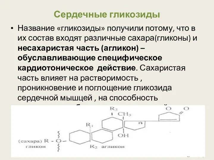 Сердечные гликозиды Название «гликозиды» получили потому, что в их состав