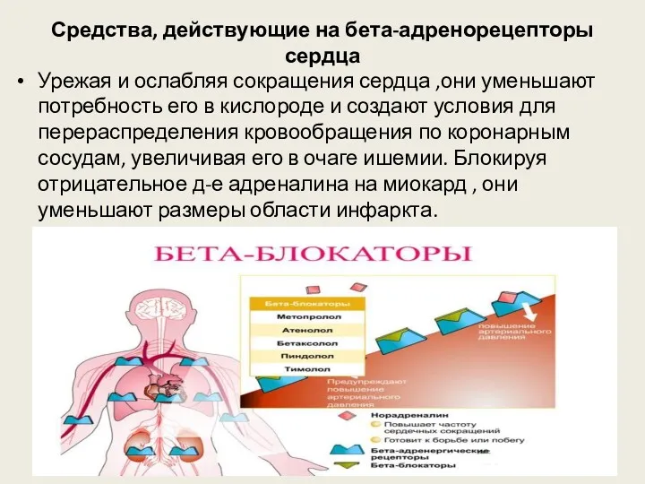 Средства, действующие на бета-адренорецепторы сердца Урежая и ослабляя сокращения сердца