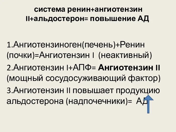 система ренин+ангиотензин II+альдостерон= повышение АД 1.Ангиотензиноген(печень)+Ренин(почки)=Ангиотензин I (неактивный) 2.Ангиотензин I+АПФ=