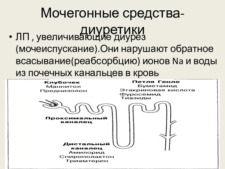 Мочегонные средства-диуретики ЛП , увеличивающие диурез(мочеиспускание).Они нарушают обратное всасывание(реабсорбцию) ионов