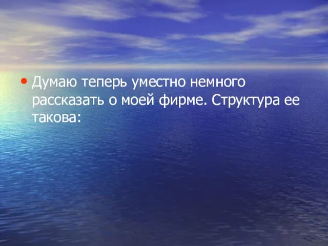 Думаю теперь уместно немного рассказать о моей фирме. Структура ее такова: