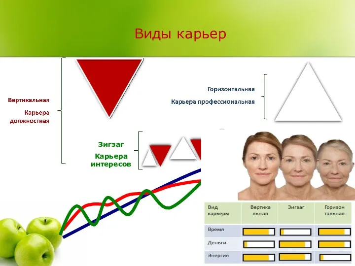 Виды карьер Зигзаг Карьера интересов