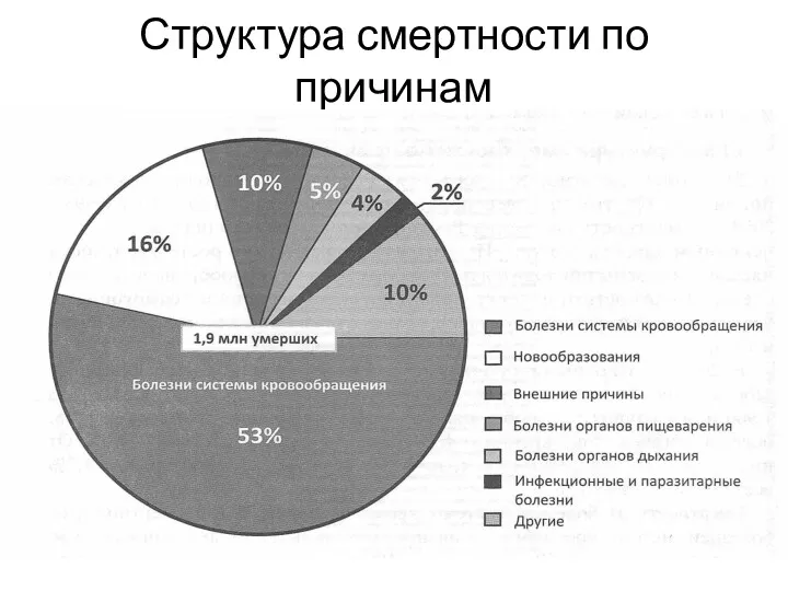 Структура смертности по причинам