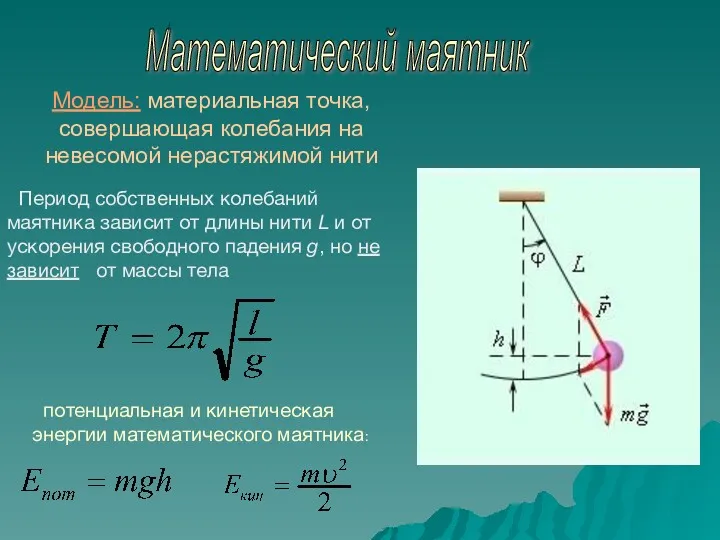 Математический маятник Модель: материальная точка, совершающая колебания на невесомой нерастяжимой