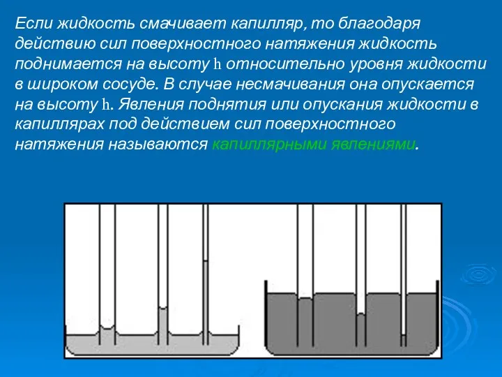 Если жидкость смачивает капилляр, то благодаря действию сил поверхностного натяжения