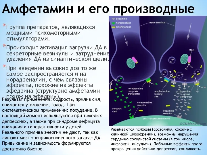 Амфетамин и его производные Группа препаратов, являющихся мощными психомоторными стимуляторами.