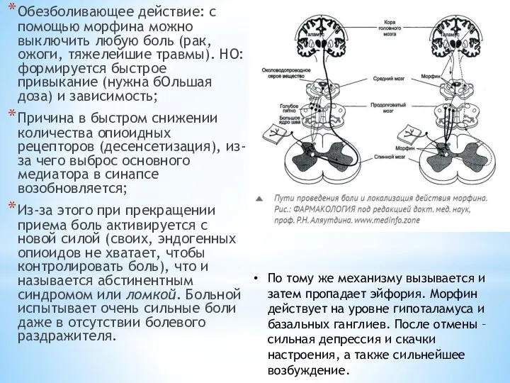 Обезболивающее действие: с помощью морфина можно выключить любую боль (рак,