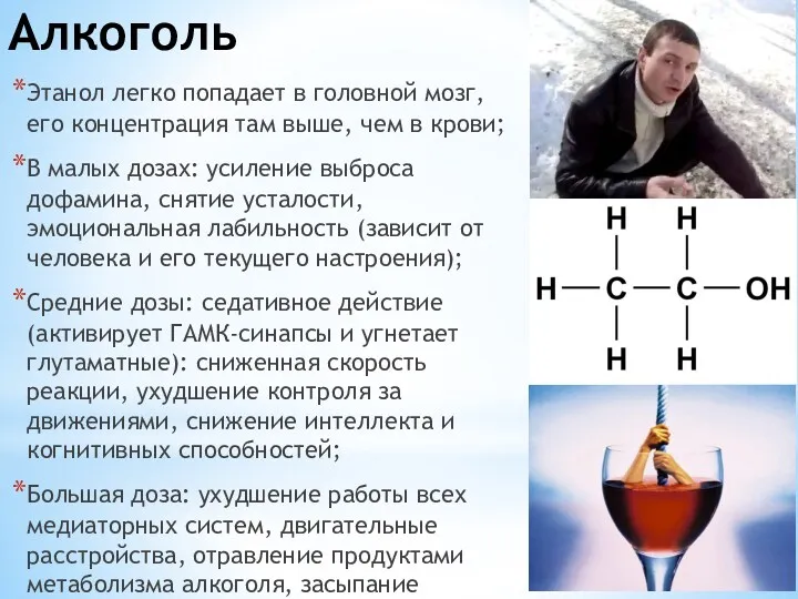 Алкоголь Этанол легко попадает в головной мозг, его концентрация там