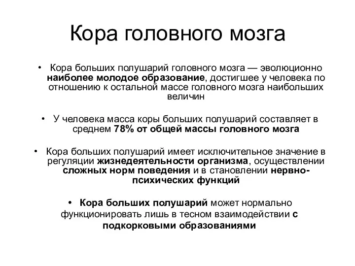 Кора головного мозга Кора больших полушарий головного мозга — эволюционно