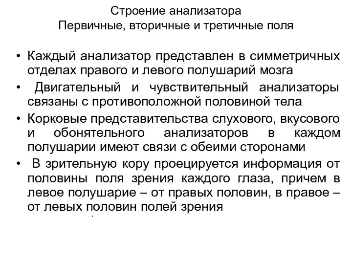 Строение анализатора Первичные, вторичные и третичные поля . Каждый анализатор