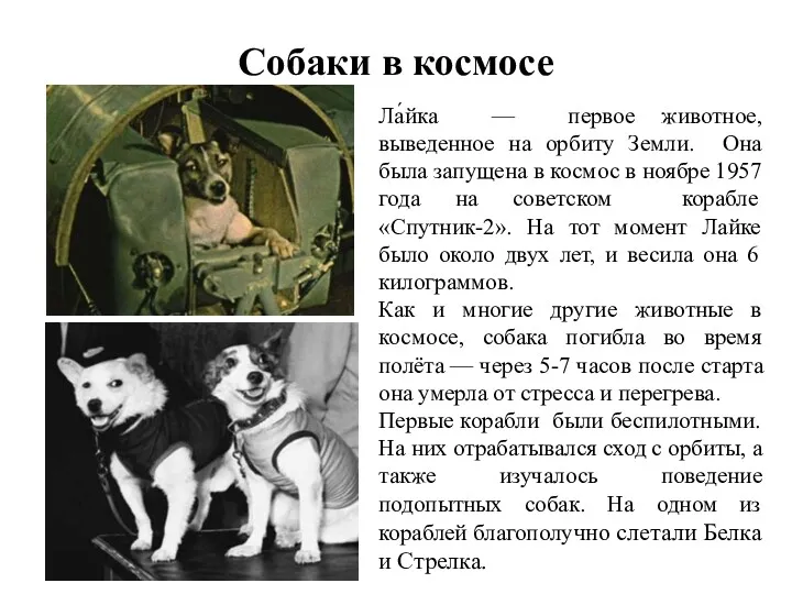 Собаки в космосе Ла́йка — первое животное, выведенное на орбиту