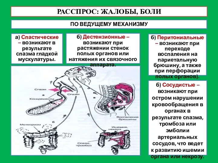 РАССПРОС: ЖАЛОБЫ, БОЛИ ПО ВЕДУЩЕМУ МЕХАНИЗМУ а) Спастические – возникают