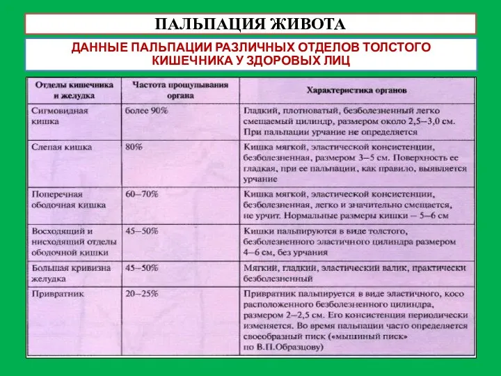 ПАЛЬПАЦИЯ ЖИВОТА ДАННЫЕ ПАЛЬПАЦИИ РАЗЛИЧНЫХ ОТДЕЛОВ ТОЛСТОГО КИШЕЧНИКА У ЗДОРОВЫХ ЛИЦ