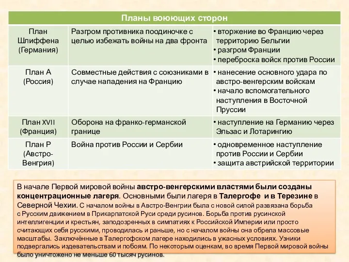 В начале Первой мировой войны австро-венгерскими властями были созданы концентрационные