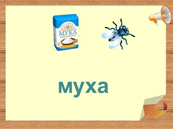 муха