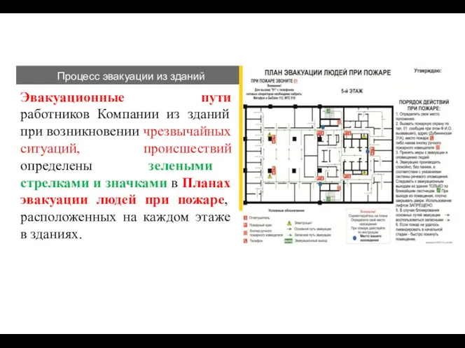 Процесс эвакуации из зданий Эвакуационные пути работников Компании из зданий