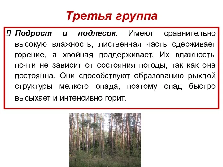 Третья группа Подрост и подлесок. Имеют сравнительно высокую влажность, лиственная