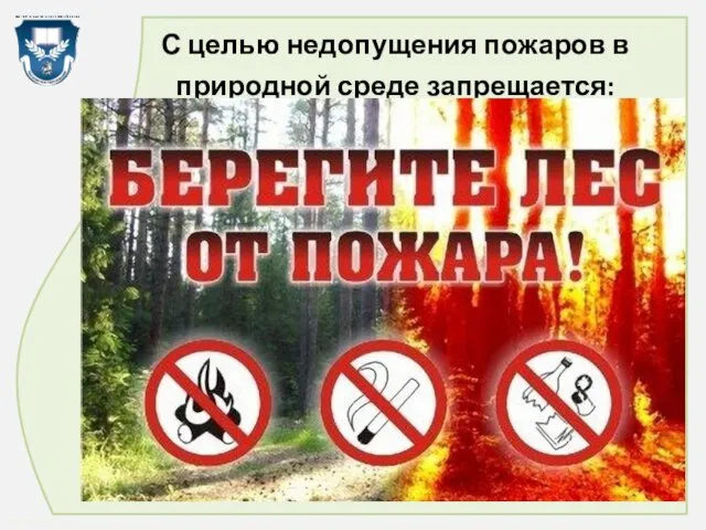 С целью недопущения пожаров в природной среде запрещается: Бросать в лесу горящие спички,