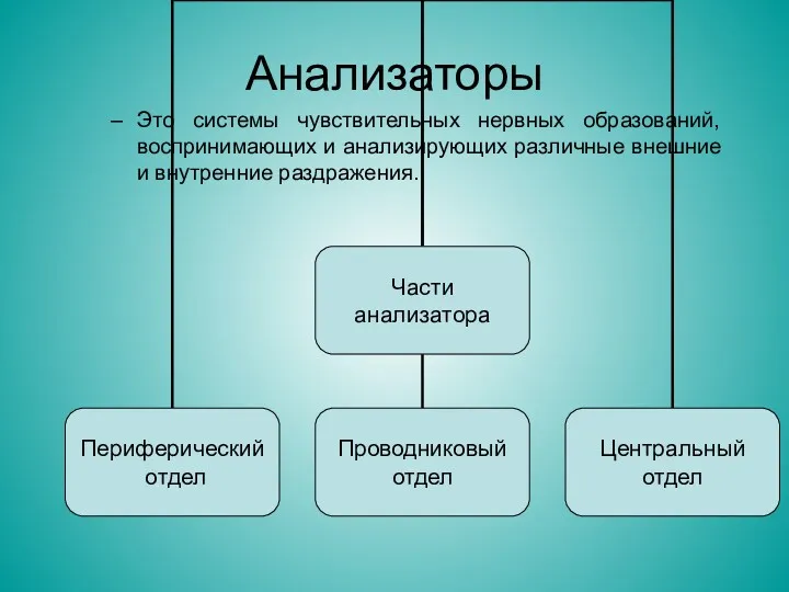 Анализаторы Это системы чувствительных нервных образований, воспринимающих и анализирующих различные внешние и внутренние раздражения.