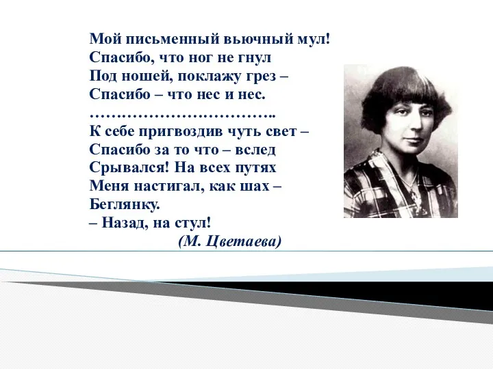 Мой письменный вьючный мул! Спасибо, что ног не гнул Под