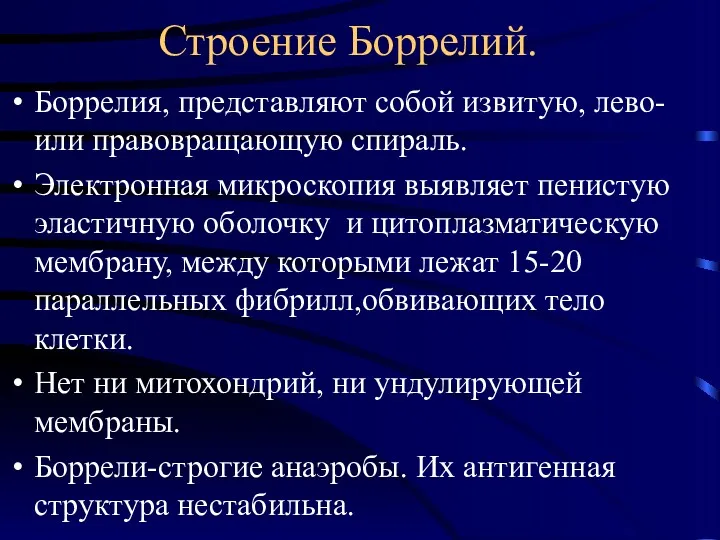 Строение Боррелий. Боррелия, представляют собой извитую, лево- или правовращающую спираль.