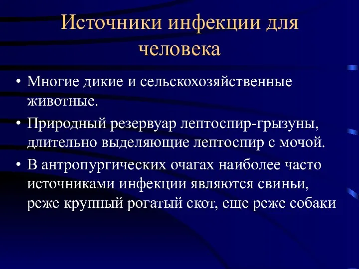 Источники инфекции для человека Многие дикие и сельскохозяйственные животные. Природный резервуар лептоспир-грызуны, длительно