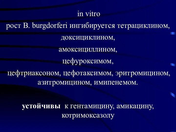 in vitro рост B. burgdorferi ингибируется тетрациклином, доксициклином, амоксициллином, цефуроксимом,