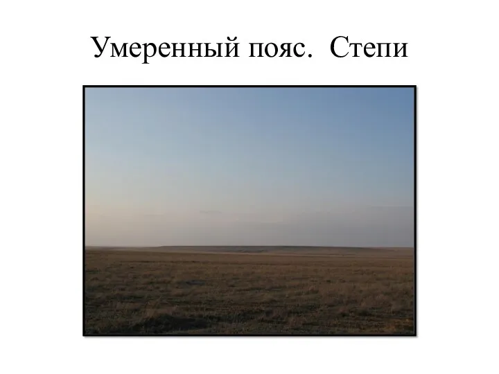 Умеренный пояс. Степи