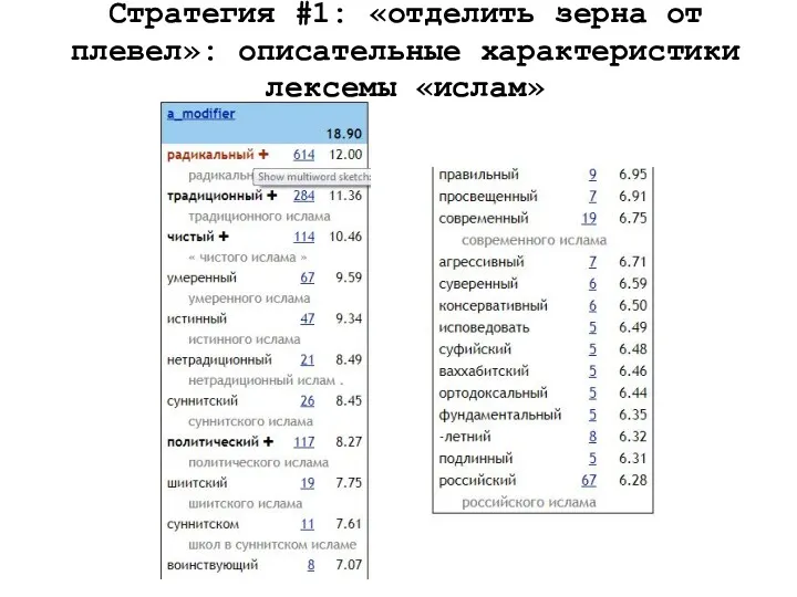 Стратегия #1: «отделить зерна от плевел»: описательные характеристики лексемы «ислам»