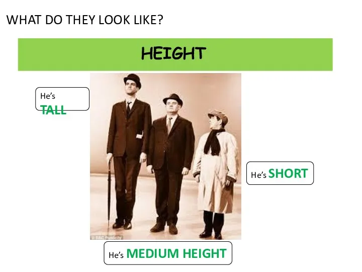 WHAT DO THEY LOOK LIKE? He’s TALL He’s SHORT He’s MEDIUM HEIGHT HEIGHT