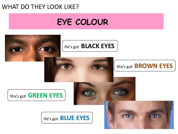 EYE COLOUR WHAT DO THEY LOOK LIKE? He’s got BLACK EYES She’s got
