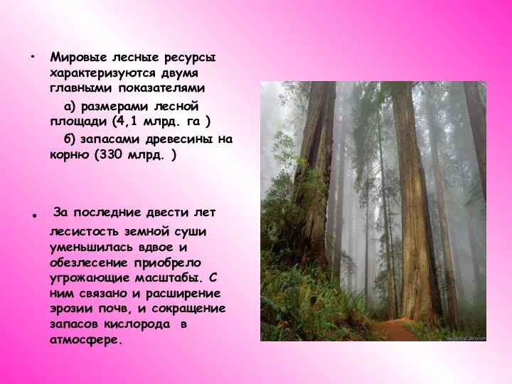 Мировые лесные ресурсы характеризуются двумя главными показателями а) размерами лесной