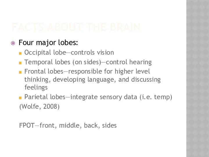 FACTS ABOUT THE BRAIN Four major lobes: Occipital lobe—controls vision Temporal lobes (on