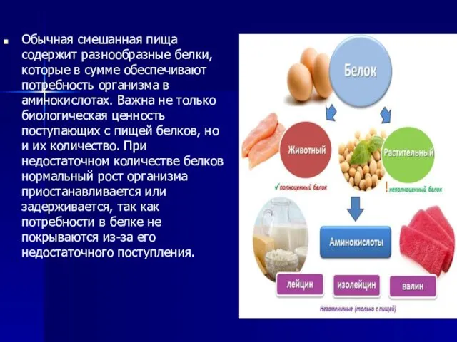 Обычная смешанная пища содержит разнообразные белки, которые в сумме обеспечивают