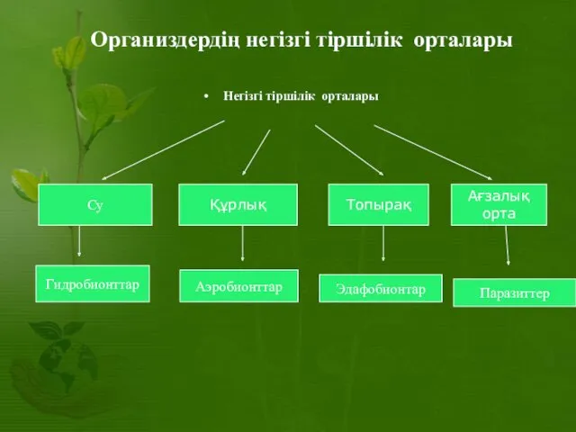 Организдердің негізгі тіршілік орталары Негізгі тіршілік орталары Су Құрлық Топырақ Ағзалық орта Гидробионттар Аэробионттар Эдафобионтар Паразиттер