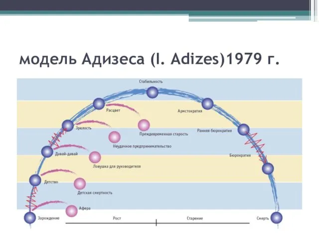 модель Адизеса (I. Adizes)1979 г.