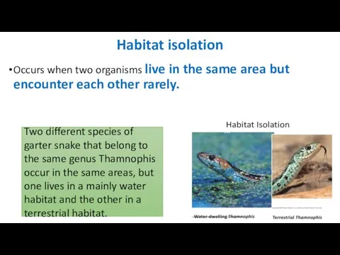 Habitat isolation Occurs when two organisms live in the same