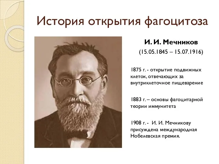 История открытия фагоцитоза И. И. Мечников (15.05.1845 – 15.07.1916) 1875