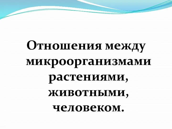 Отношения между микроорганизмами растениями, животными, человеком.