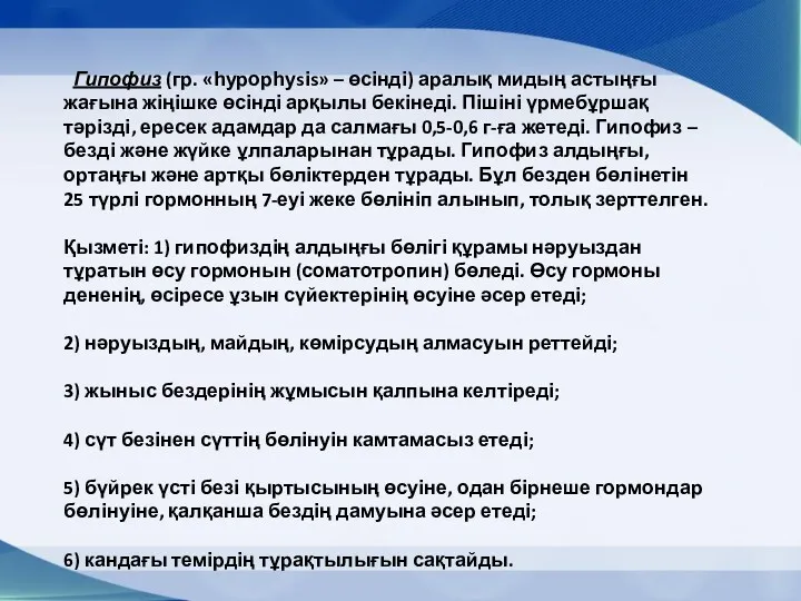 Гипофиз (гр. «һурорһуsіs» – өсінді) аралық мидың астыңғы жағына жіңішке