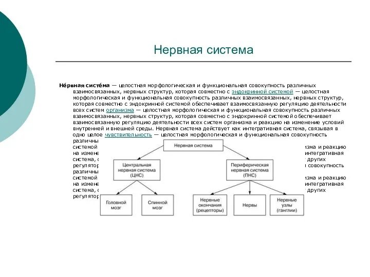 Нервная система Не́рвная систе́ма — целостная морфологическая и функциональная совокупность